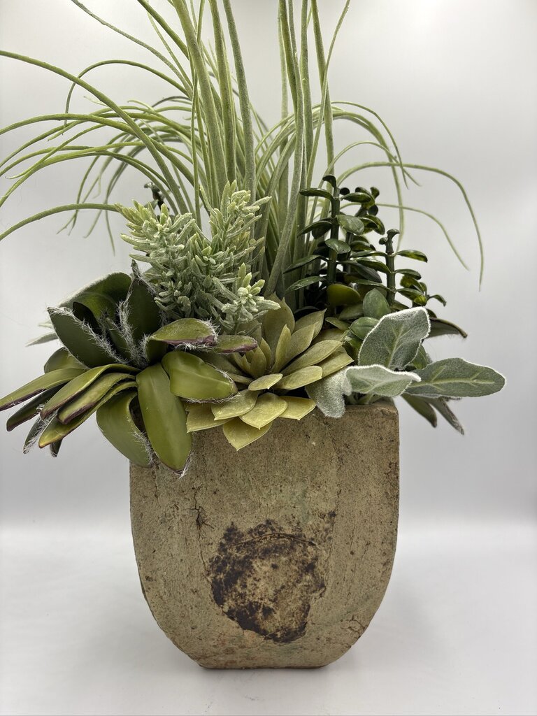 NDI Succulent In Glazed Pot- 10X8X19H