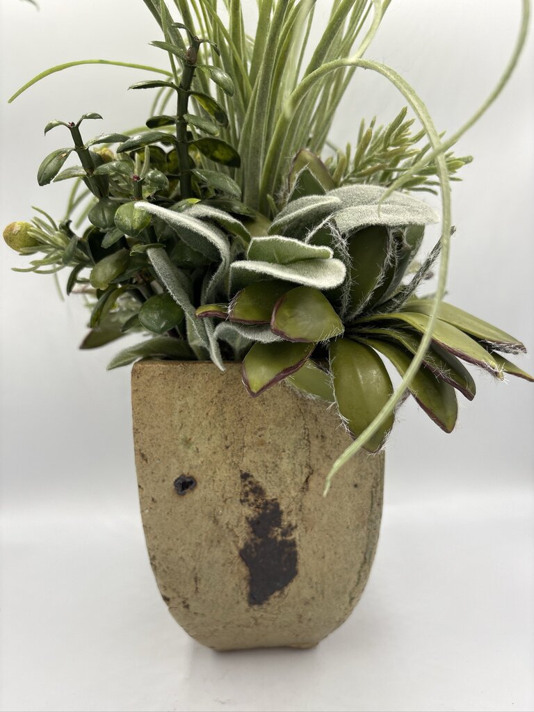 NDI Succulent In Glazed Pot- 10X8X19H