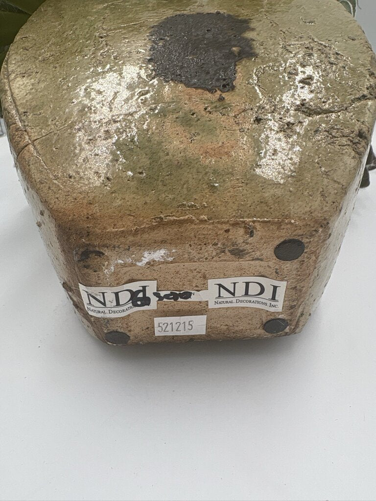 NDI Succulent In Glazed Pot- 10X8X19H
