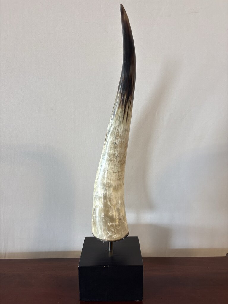 Polished Longhorn On Black Stand- 10X6x25- Pair