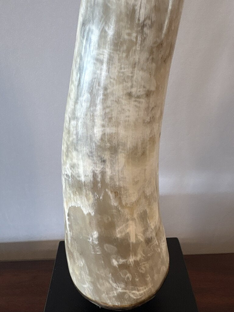 Polished Longhorn On Black Stand- 10X6x25- Pair