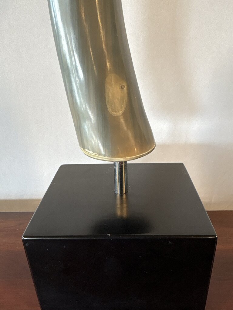 Polished Longhorn On Black Stand- 10X6x25- Pair