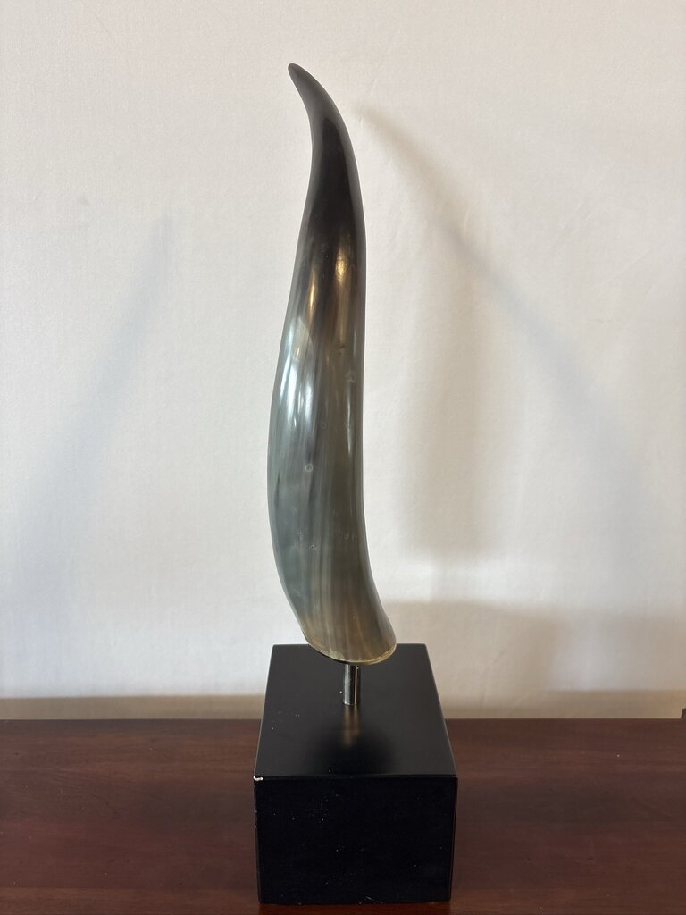 Polished Longhorn On Black Stand- 10X6x25- Pair