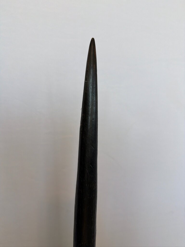 Oryx Horn On Metal Stand - 34.5H