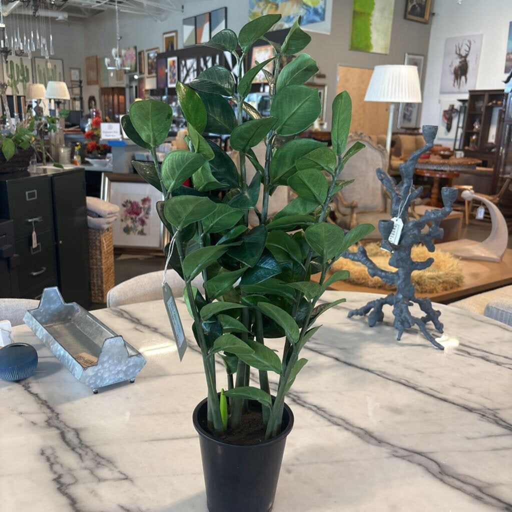 Faux Zamioculcas Plant- 25H