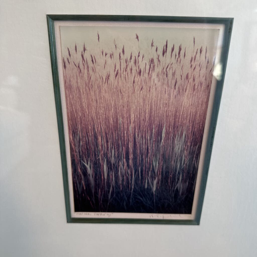 Natural Tapestry Art Signed By R.C.- 16.5X18.5H