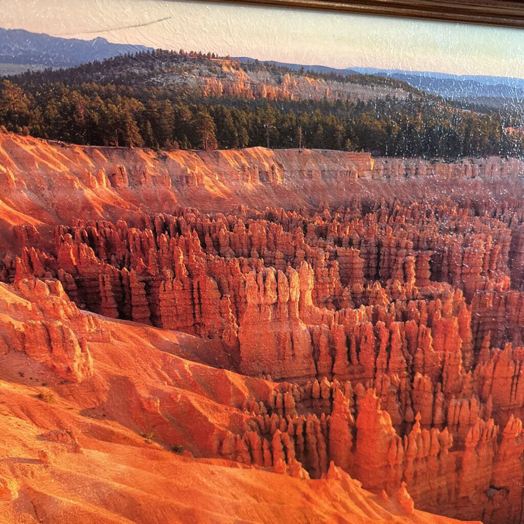 Bryce Canyon Utah Framed Giclee Photograph- 67.5X28