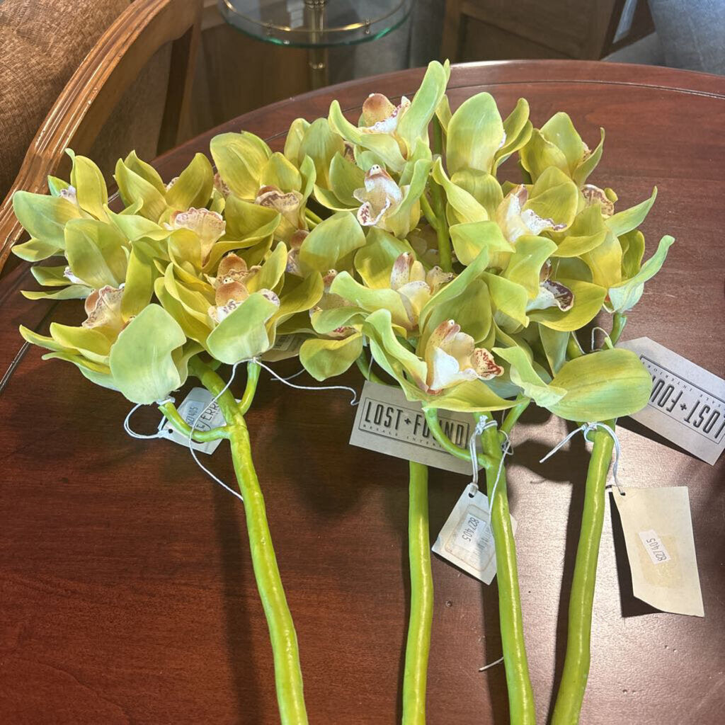 Faux Green & White Orchid Stem - 25"