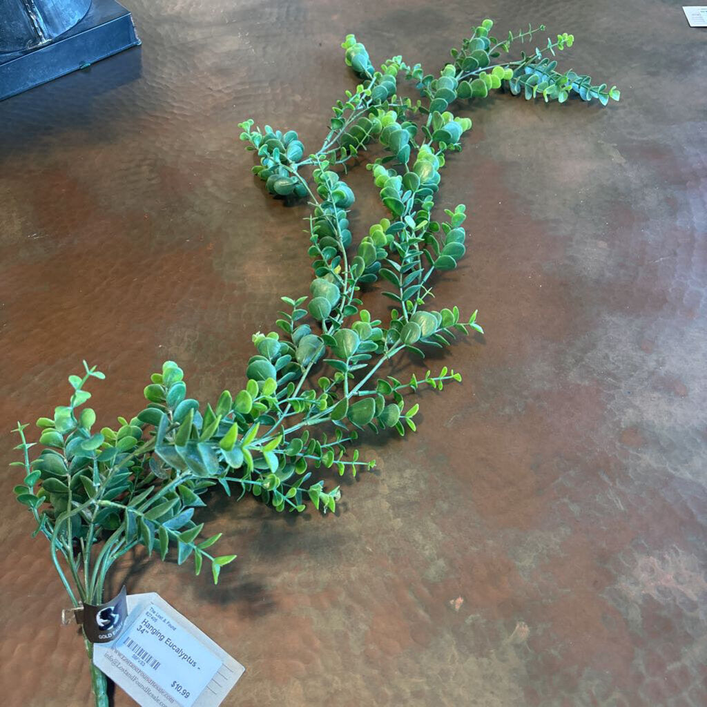 Hanging Eucalyptus - 34"
