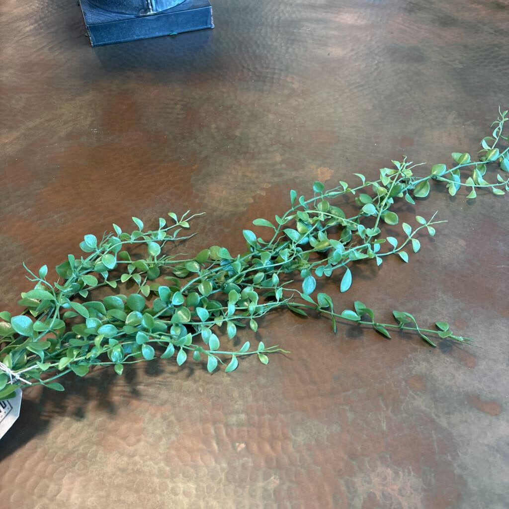 Hoya Hanging Spray - 40"