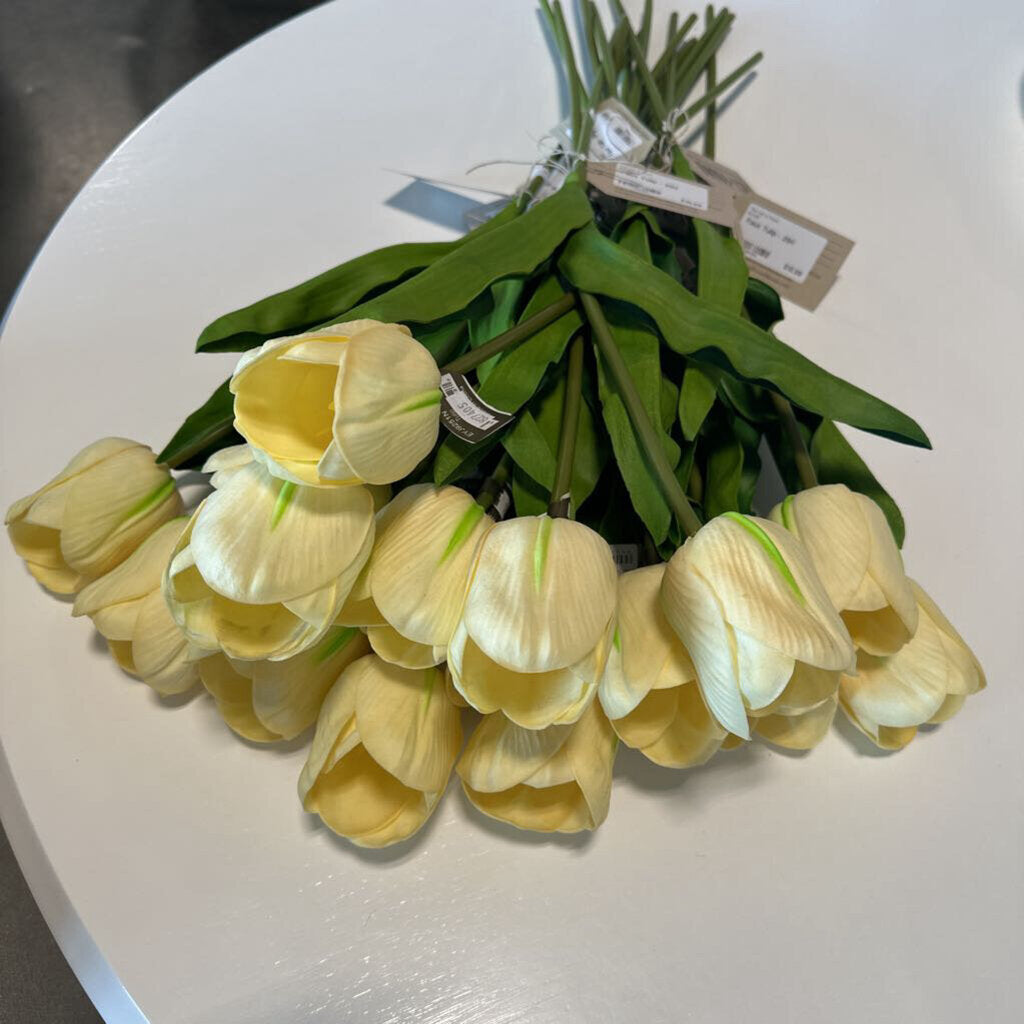 Faux Tulip - 26H