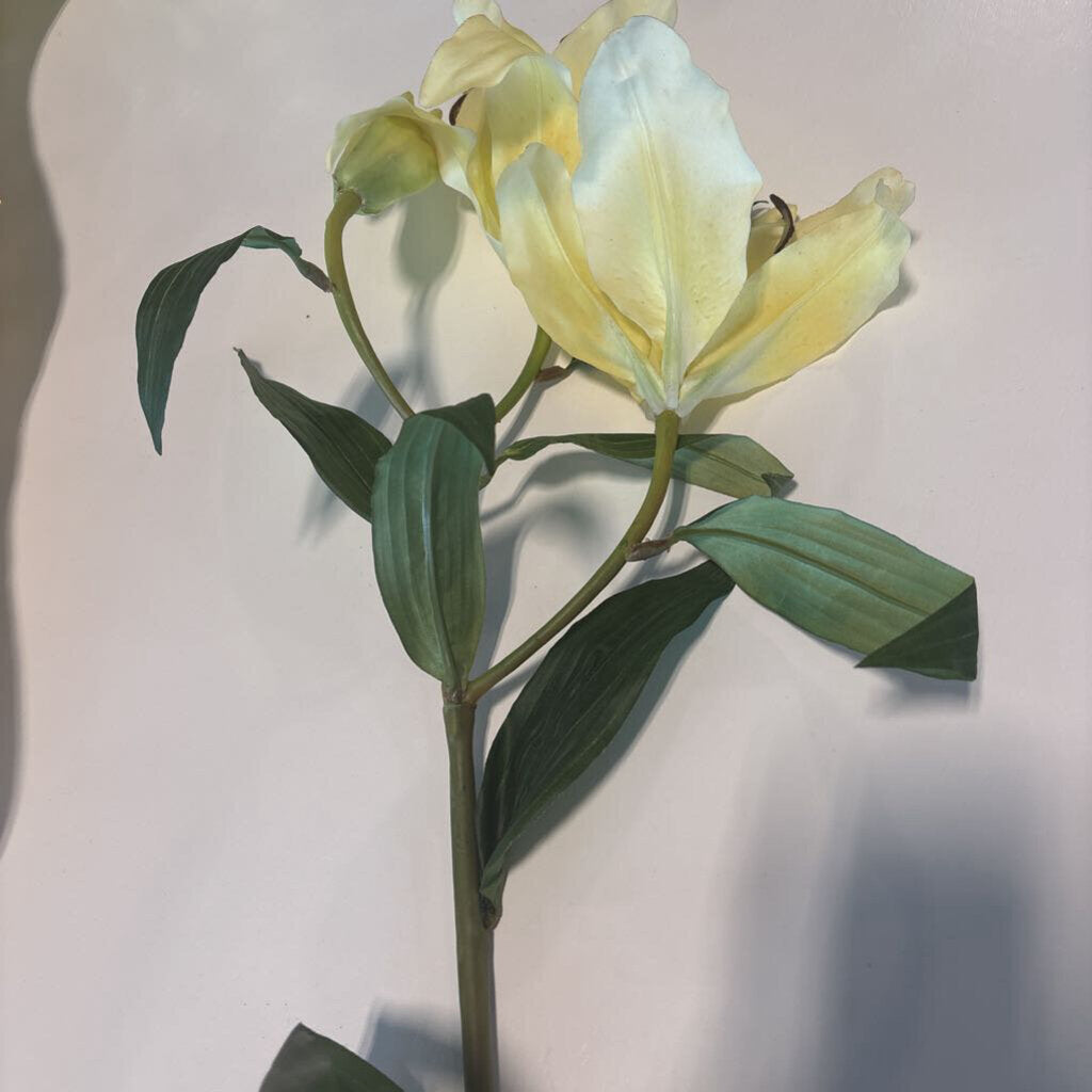 Faux Lily - 40H