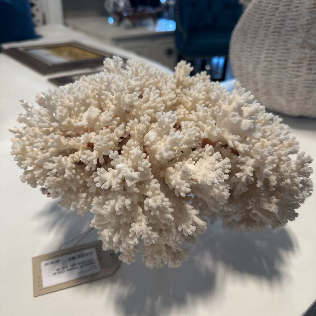 Natural White Coral- 13X10X6.5H- AS IS