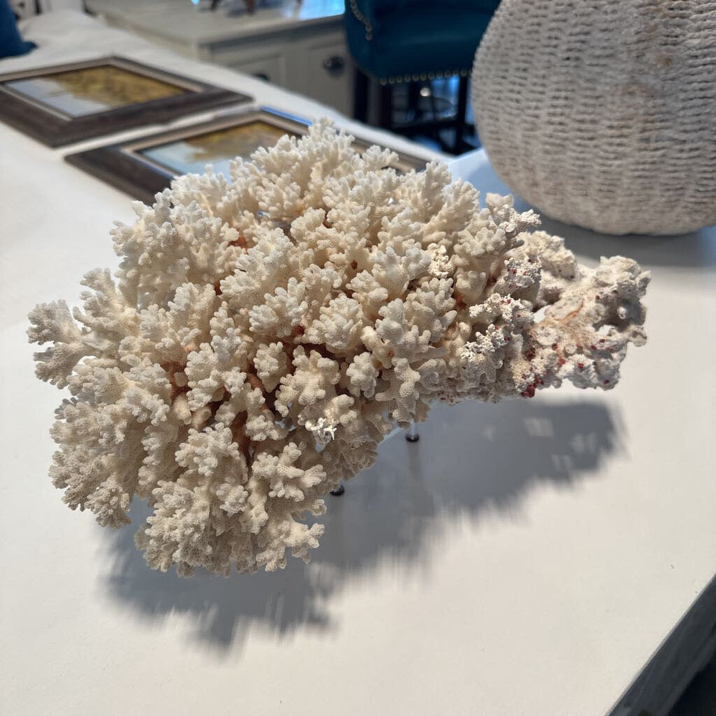 Natural White Coral- 13X10X6.5H- AS IS