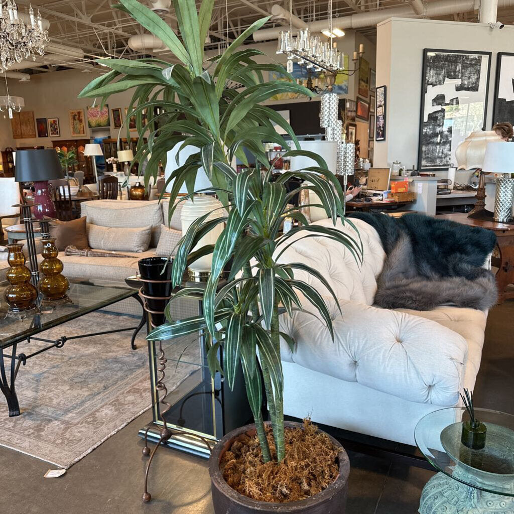 Faux Dracaena Plant In Ceramic Pot- 19X19X77H
