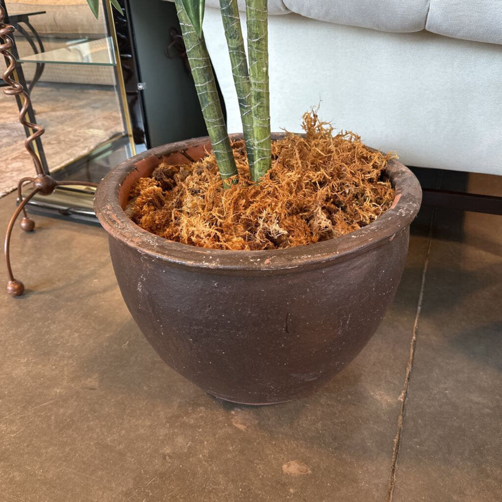 Faux Dracaena Plant In Ceramic Pot- 19X19X77H