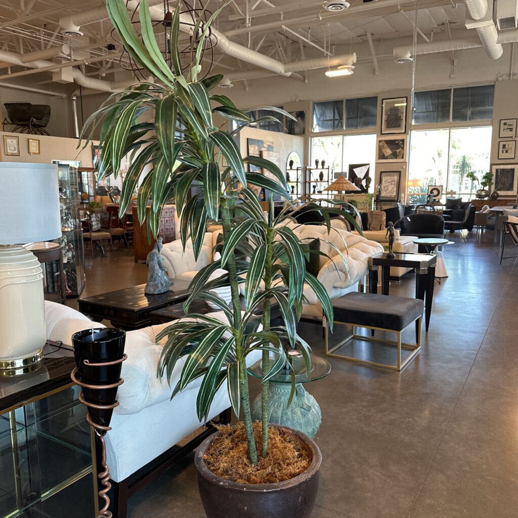Faux Dracaena Plant In Ceramic Pot- 19X19X77H