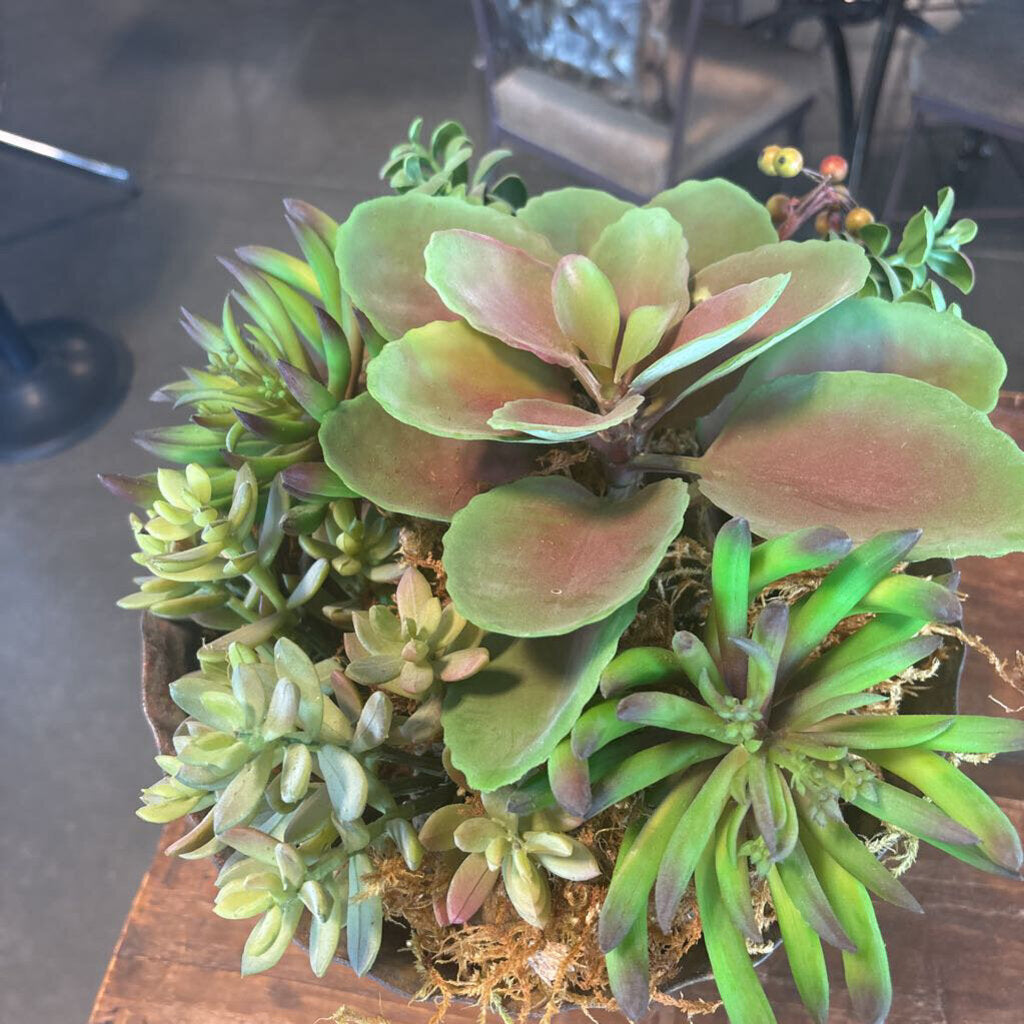 Metal Pot W/ Succulents- 11X11X12H