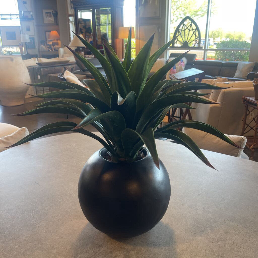 Faux Agave In Round Black Pot- 26X26H