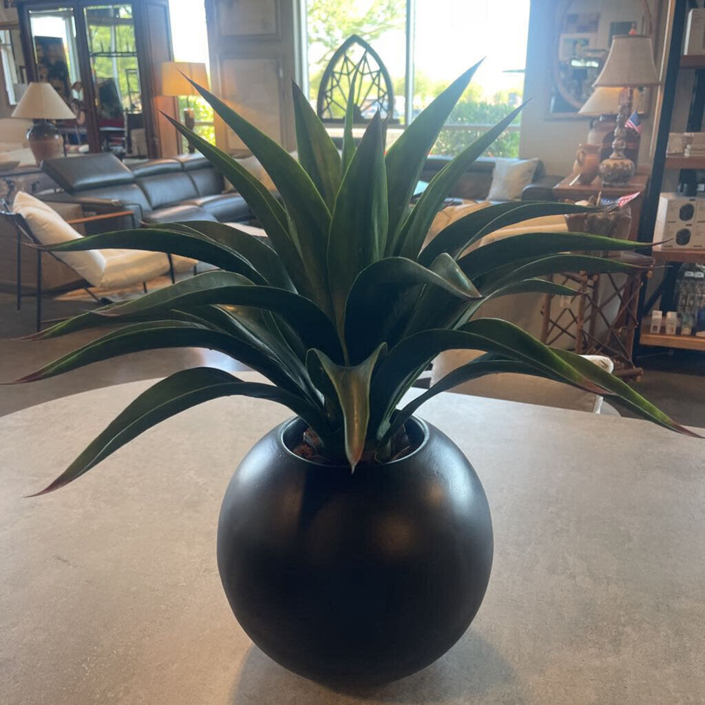 Faux Agave In Round Black Pot- 26X26H