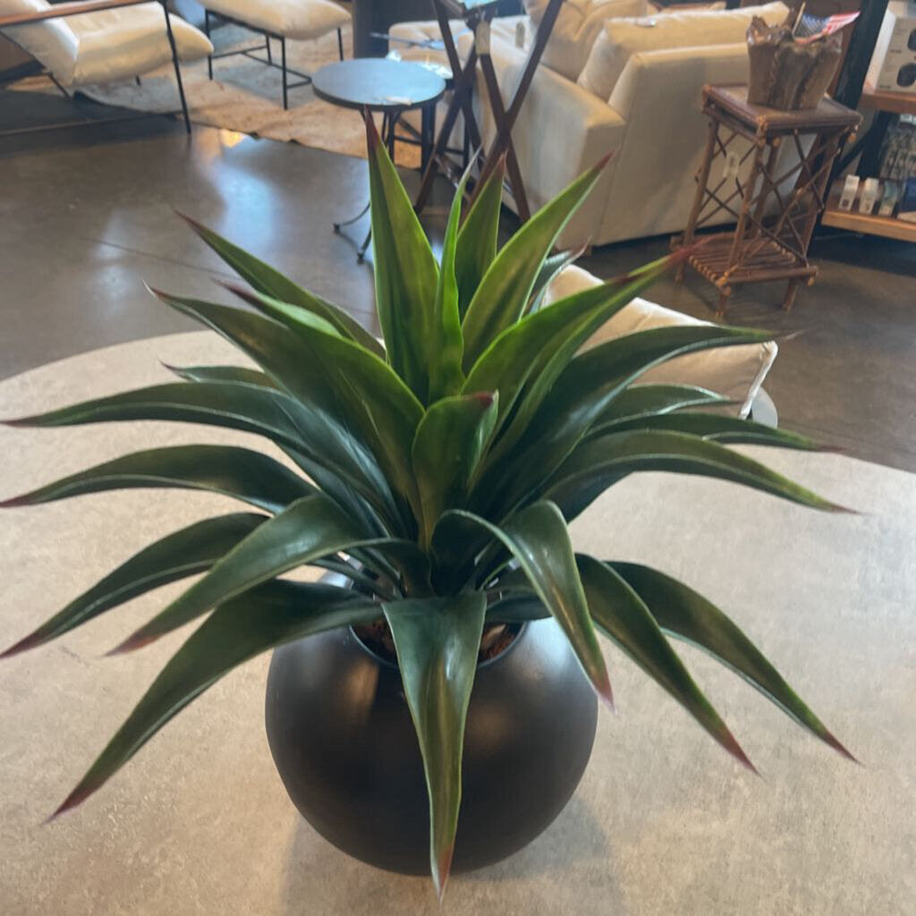 Faux Agave In Round Black Pot- 26X26H