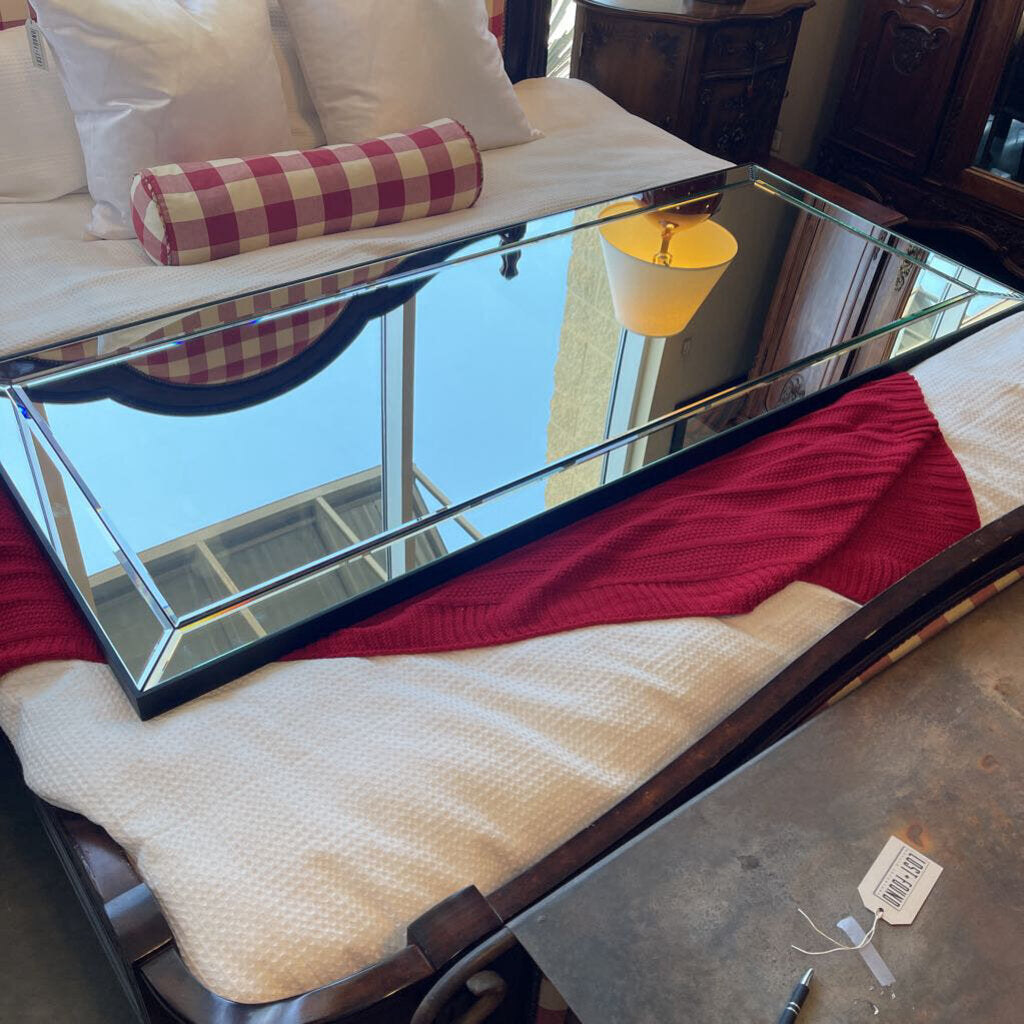WS Beveled Floor Mirror W/ Black Metal Frame - 30X72