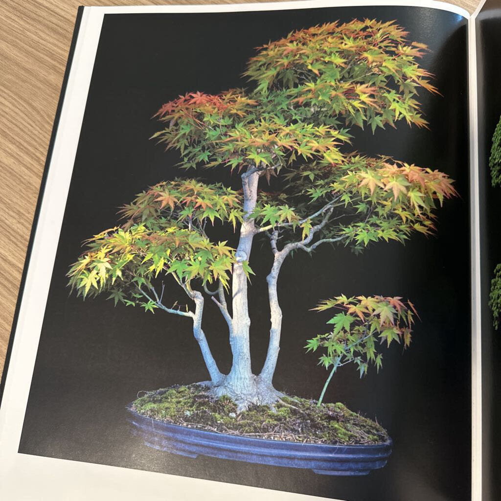 Fine Bonsai/Art & Nature W/Cloth Slipcase - 12X16X3H
