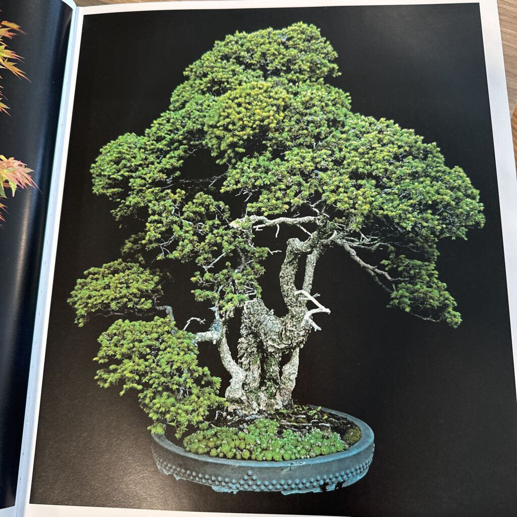 Fine Bonsai/Art & Nature W/Cloth Slipcase - 12X16X3H