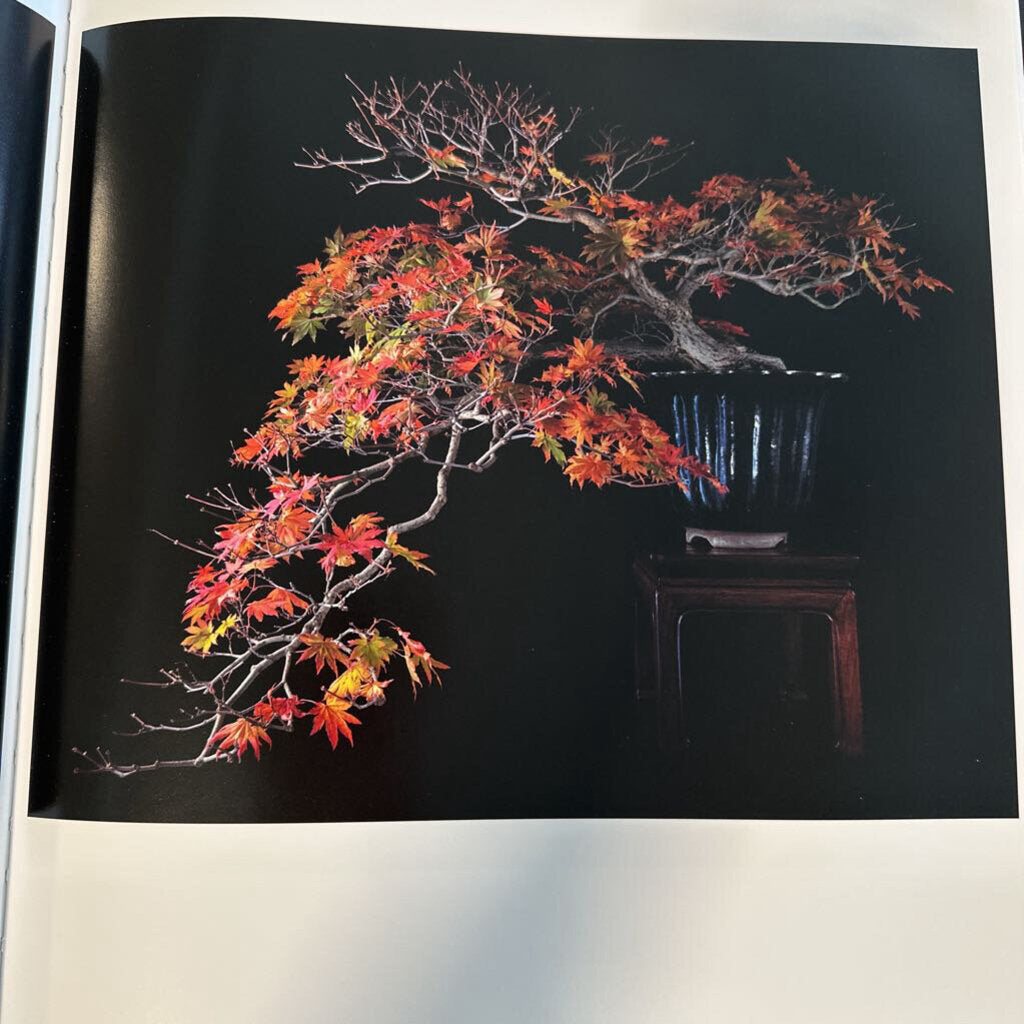 Fine Bonsai/Art & Nature W/Cloth Slipcase - 12X16X3H