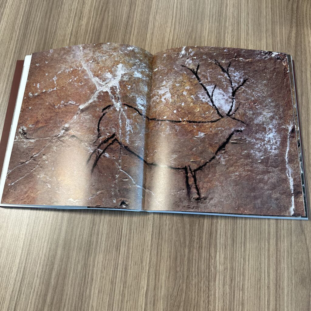 Cave Art By Jean Clottes - 10X11.5X1.5H