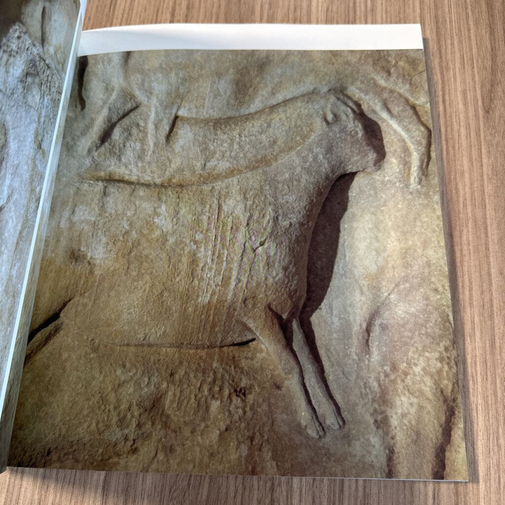 Cave Art By Jean Clottes - 10X11.5X1.5H