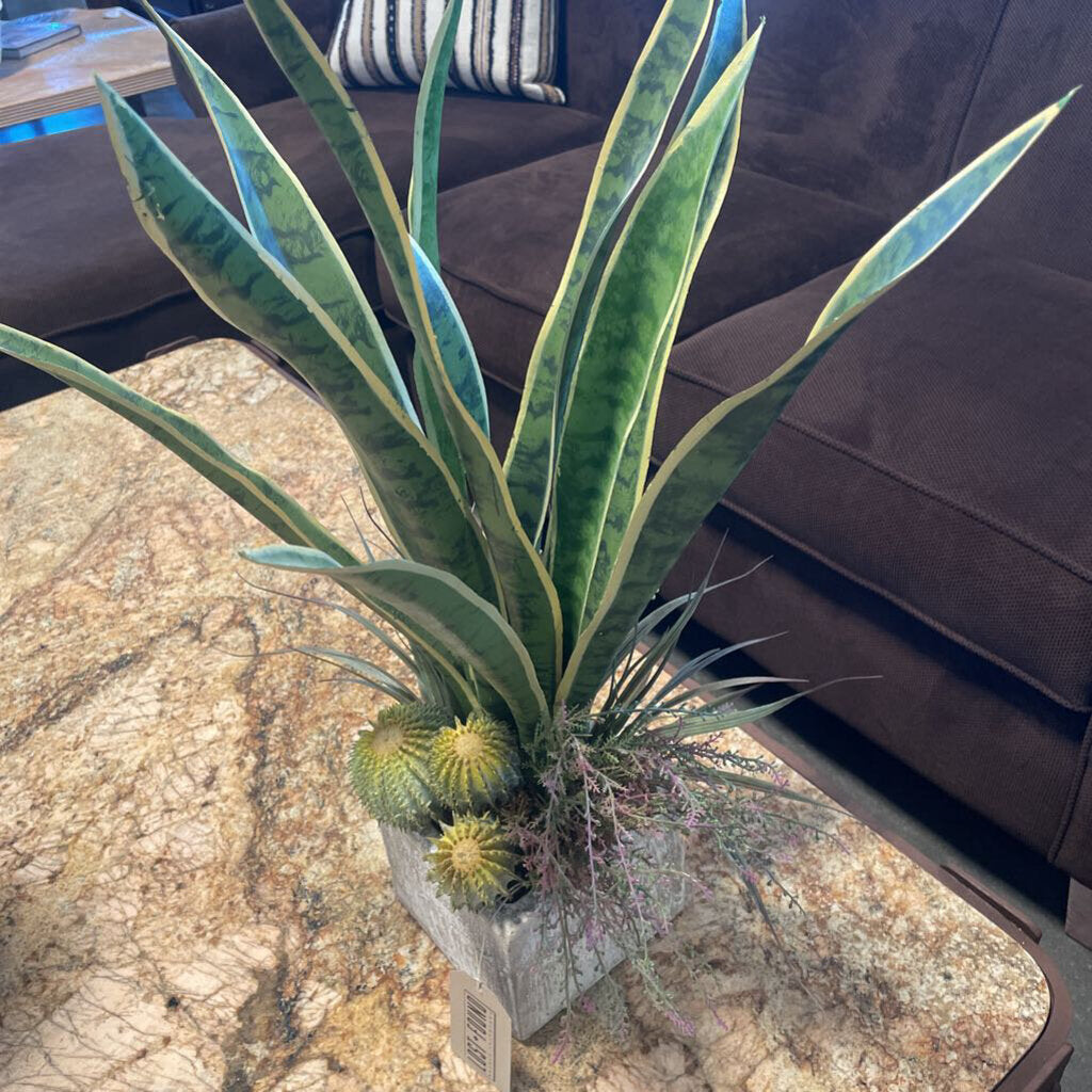 Earth Flora Sansevieria in Pot - 26X14