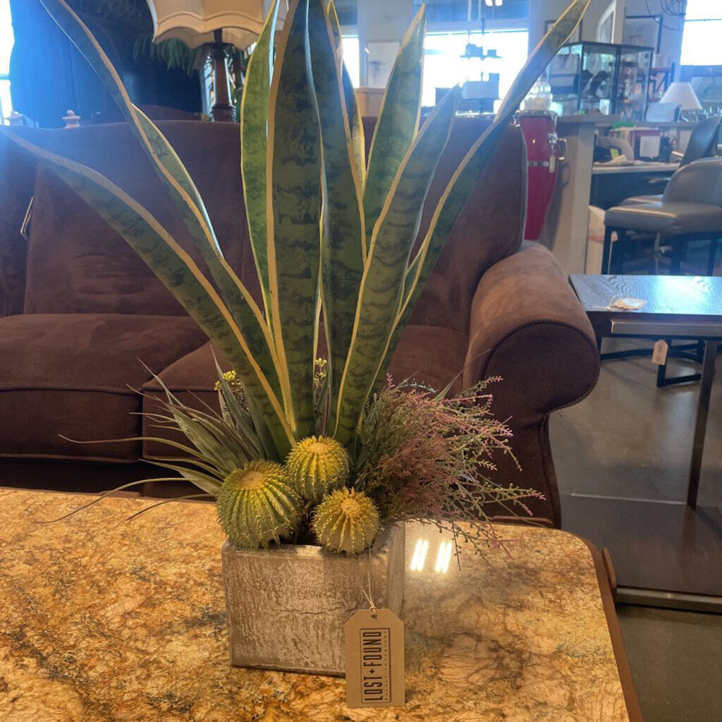 Earth Flora Sansevieria in Pot - 26X14