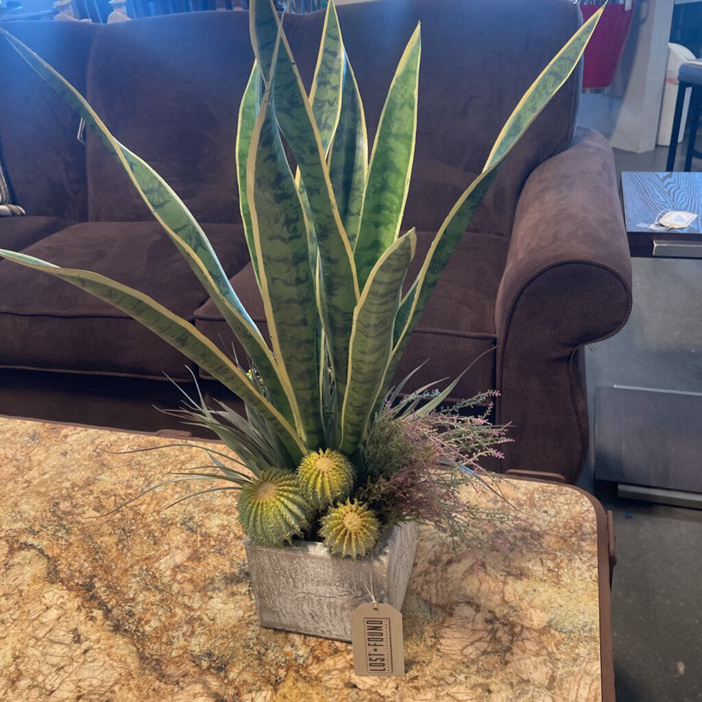Earth Flora Sansevieria in Pot - 26X14