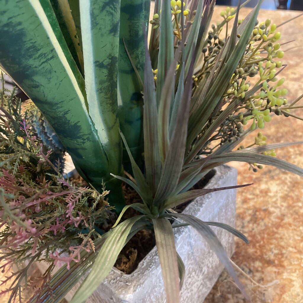 Earth Flora Sansevieria in Pot - 26X14