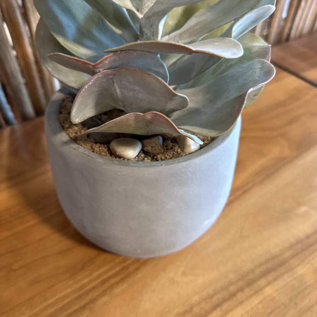 Creative Co-Op Faux Succulent in Cement Pot - 8X22