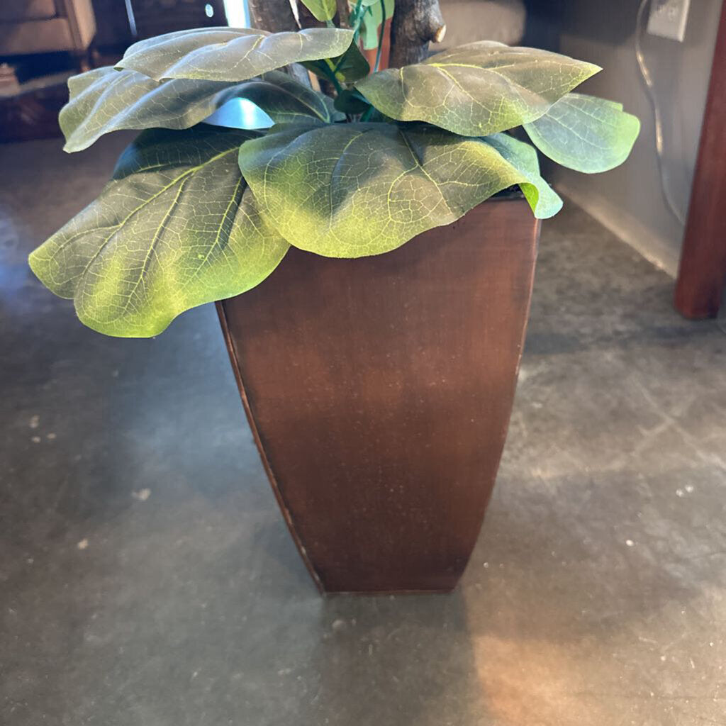 Faux Fig Plant In Tin Pot - 27X32X82H
