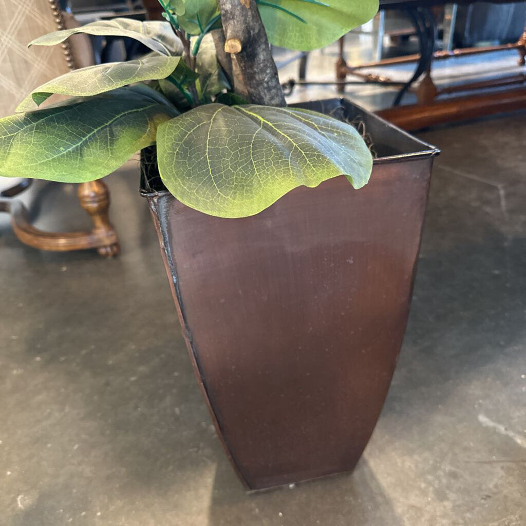 Faux Fig Plant In Tin Pot - 27X32X82H