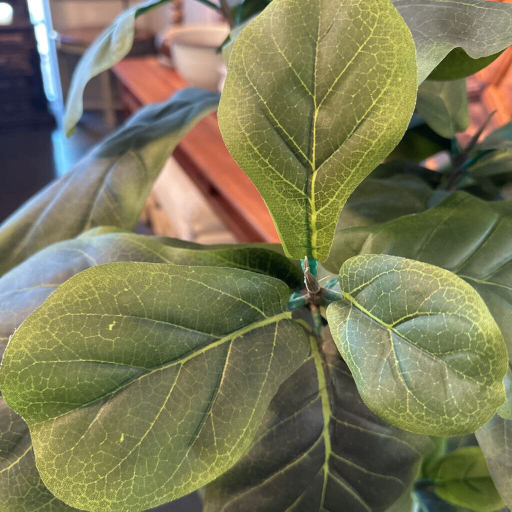 Faux Fig Plant In Tin Pot - 27X32X82H