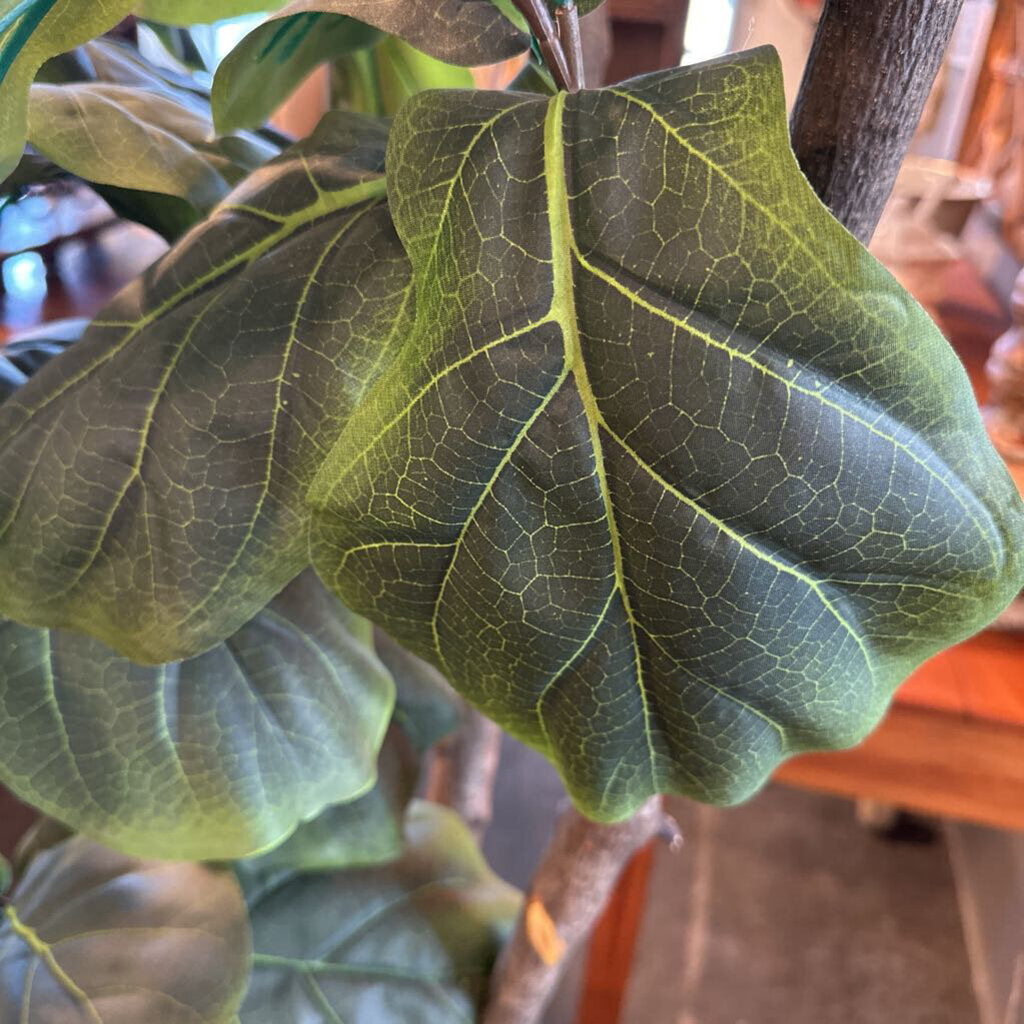 Faux Fig Plant In Tin Pot - 27X32X82H