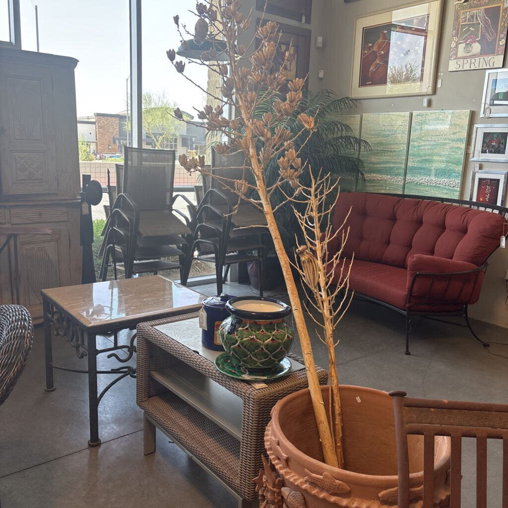 Dried Star Pod Stalks 5'&8'- Pair
