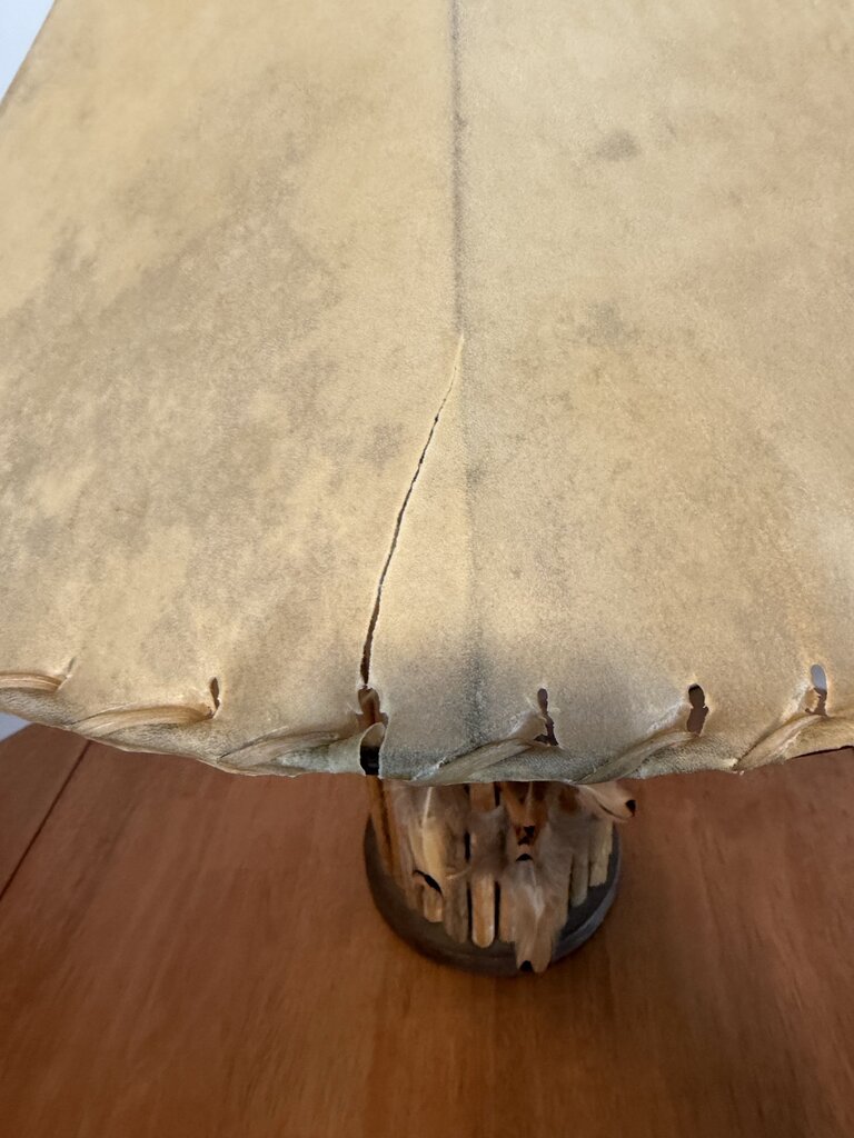 Saguaro Ribbed Lamp W/ Feathers- 22X27H - AS IS