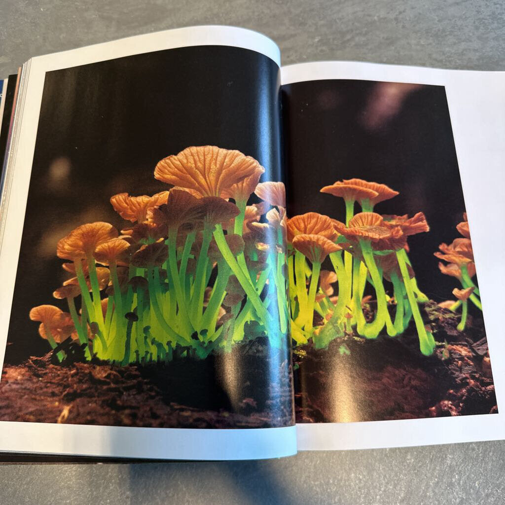 National Geographic Rarely Seen Hardcover Book- 9.5X1.5X11.5