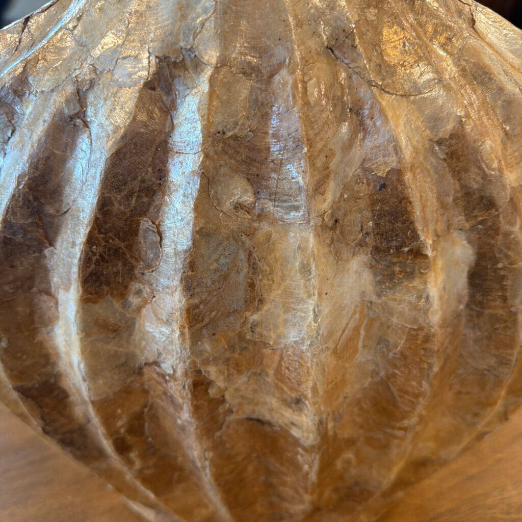 Large Capiz Shell Vase - 17X4X17H