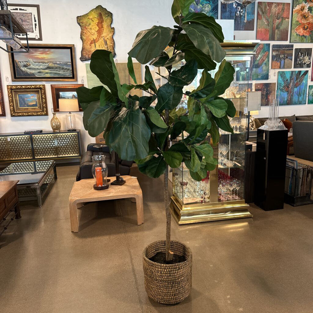 Faux Fig Tree- 44X84H