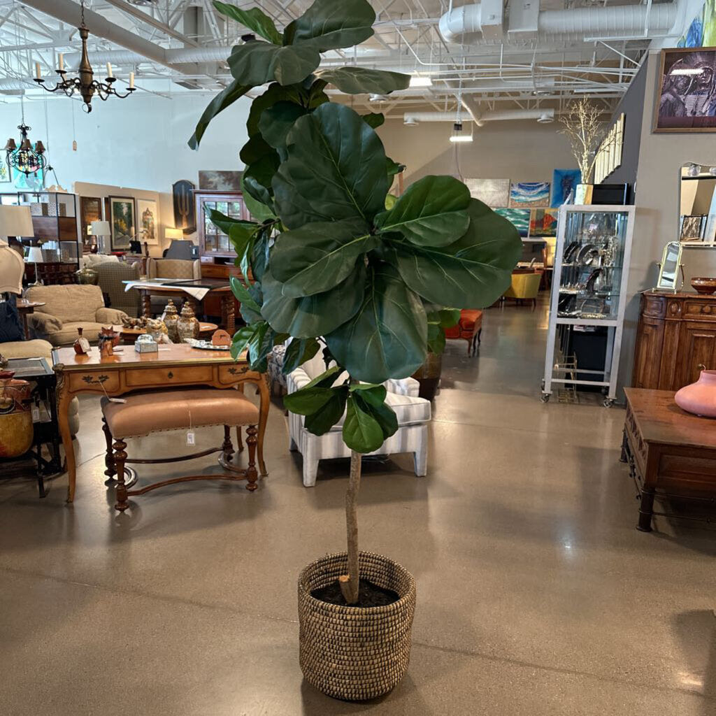 Faux Fig Tree- 44X84H