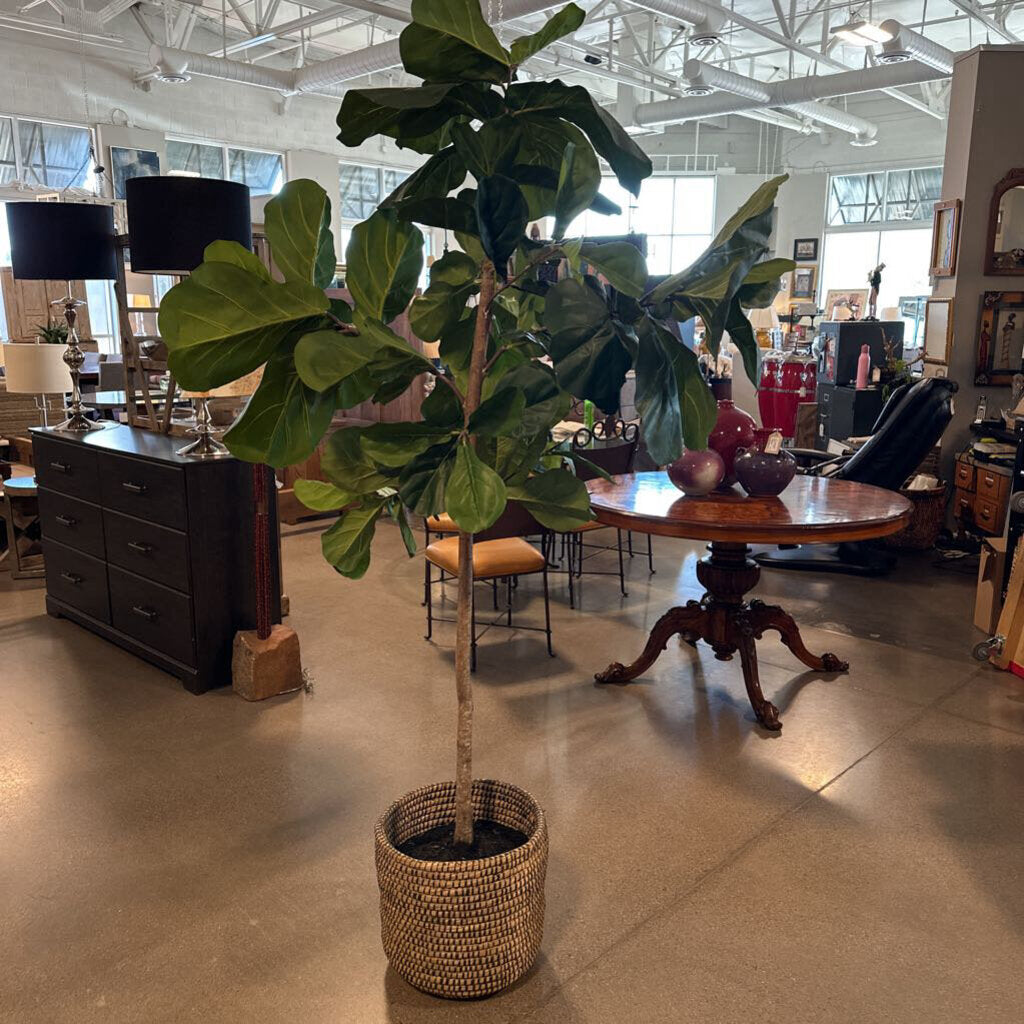 Faux Fig Tree- 44X84H
