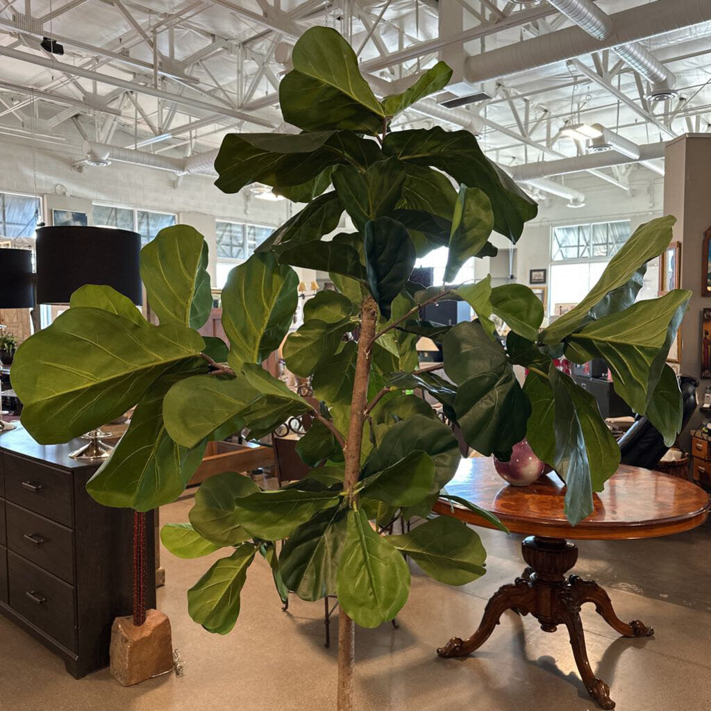 Faux Fig Tree- 44X84H