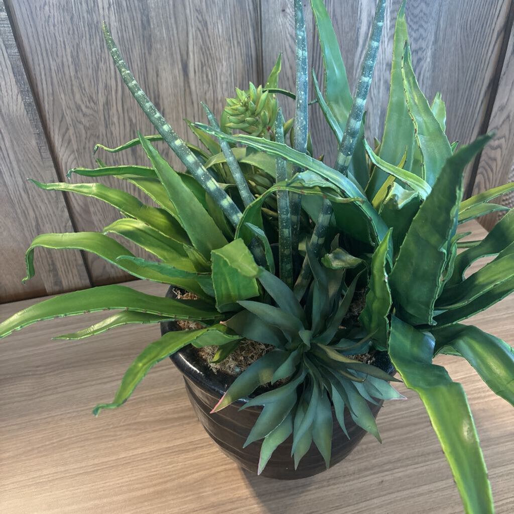 Faux Aloe Plant In Black Ceramic Pot- 12X25H