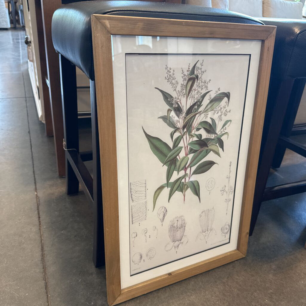 Botanical Print I W/ Light Wood Frame - 16X24
